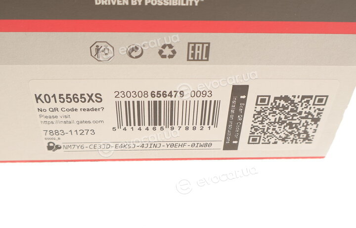 Gates K015565XS