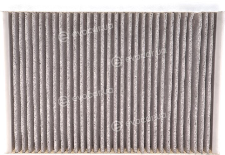 Mahle LAO 307