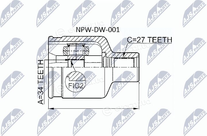 NTY NPW-DW-001