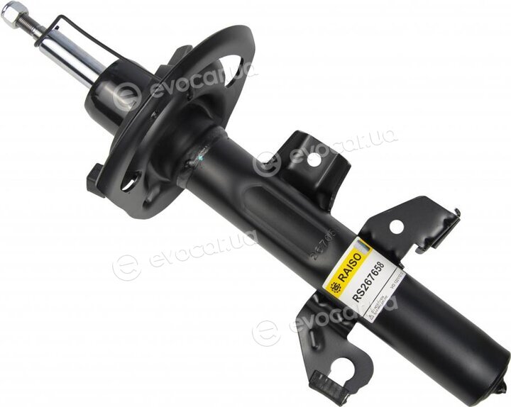 Raiso RS267658