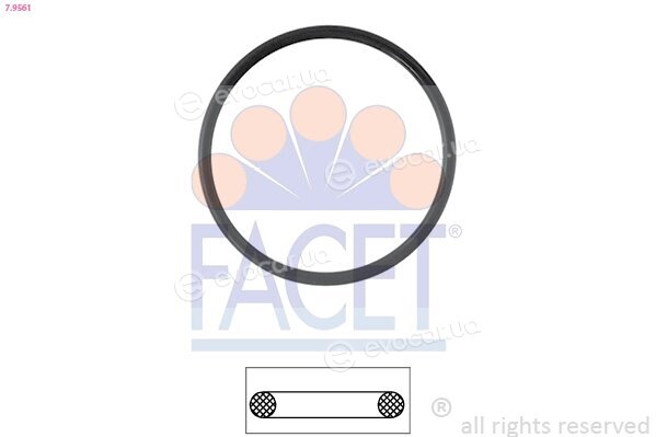 Facet 7.9561