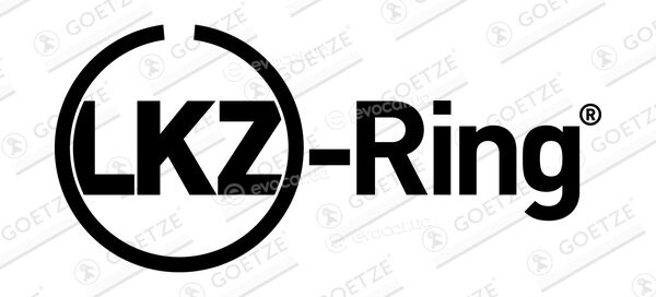 Goetze 08-447507-00