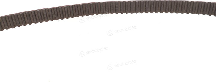 Motive TBK4982WP