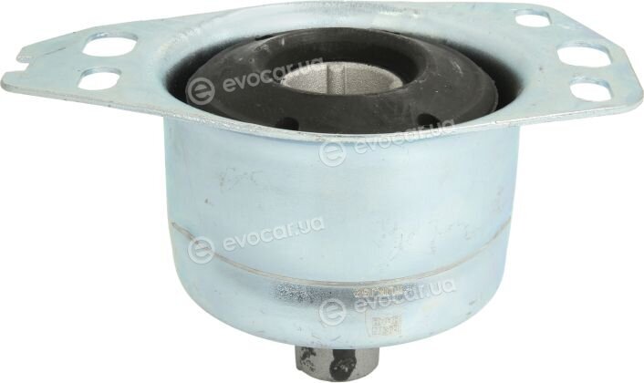 Reinhoch RH11-1029