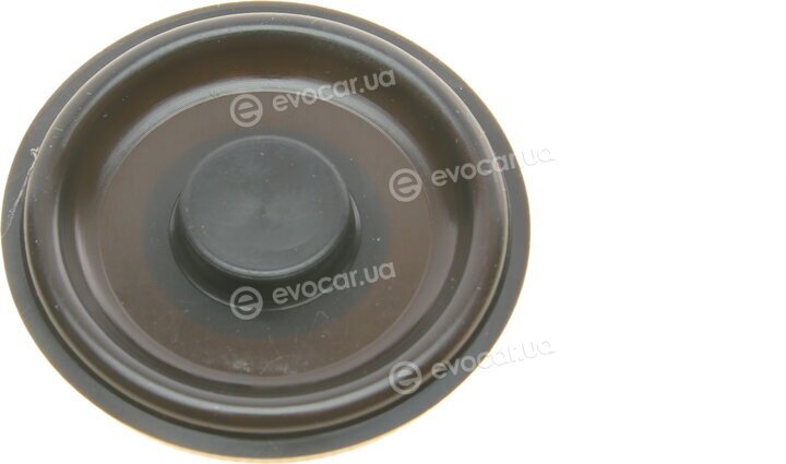 Solgy 124004