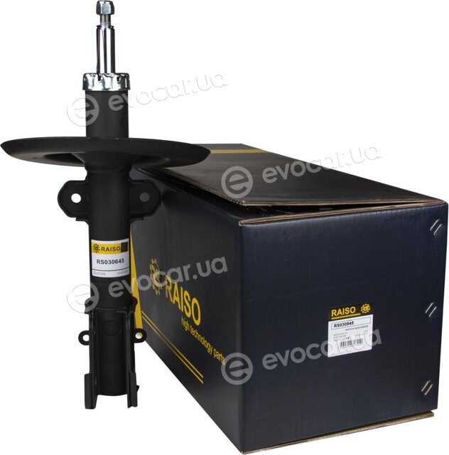 Raiso RS030645
