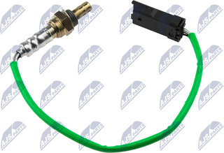 NTY ESL-CT-010