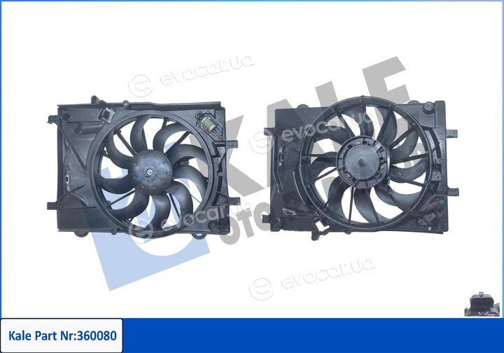 Kale 360080