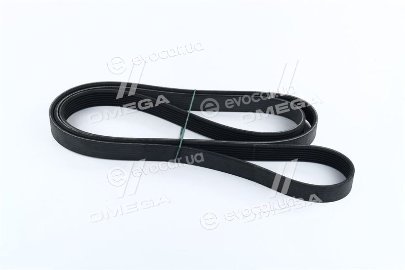 Continental 7PK2271