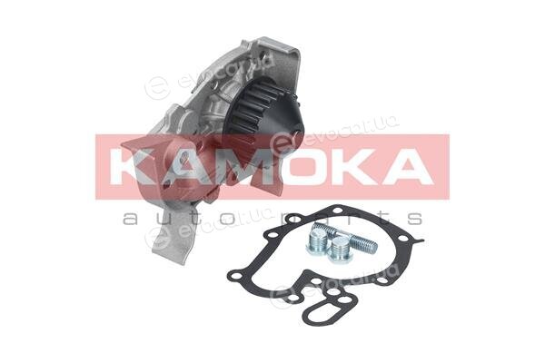 Kamoka T0243