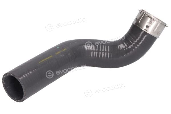 Thermotec DCR259TT