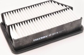 Filtron AP 107/8