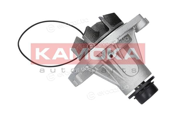 Kamoka T0006