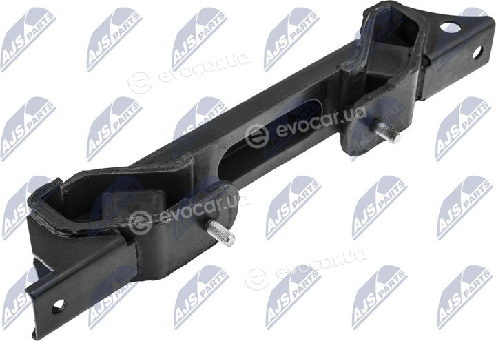 NTY ZPS-MS-012