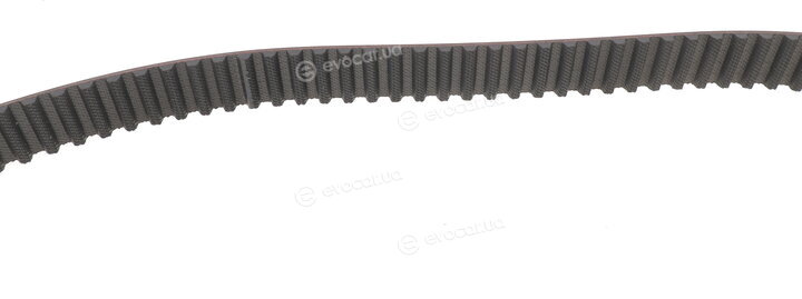 Dayco KTB319