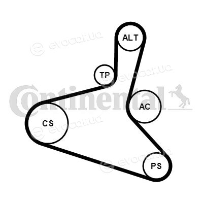 Continental 6DPK1195K1