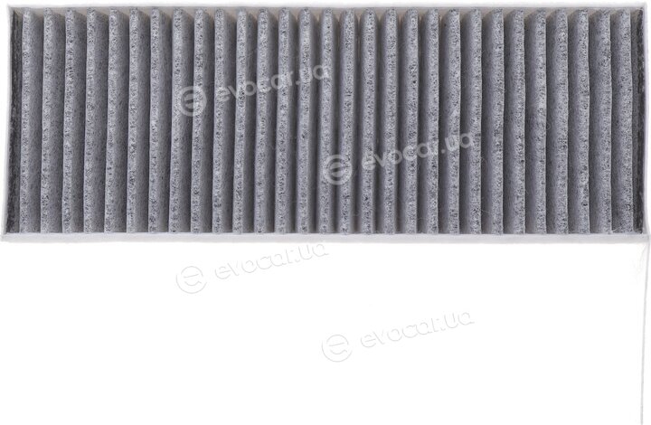 Solgy 104114
