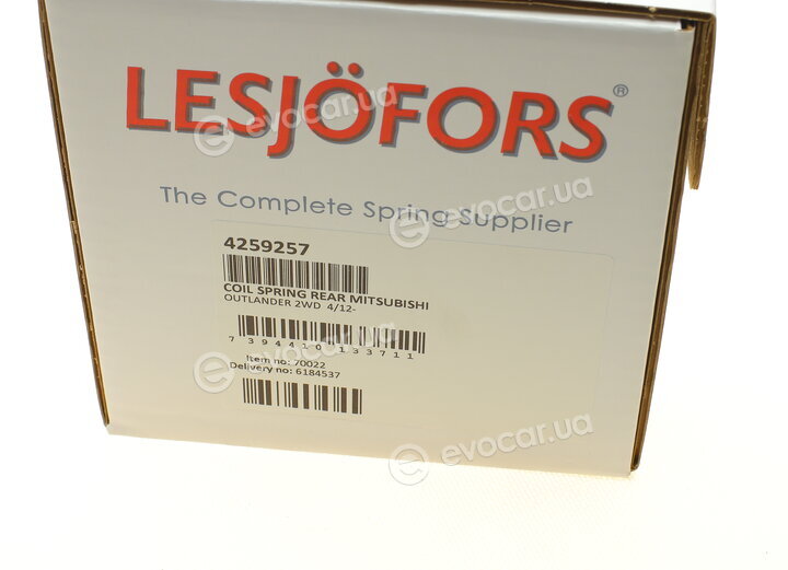 Lesjofors 4259257