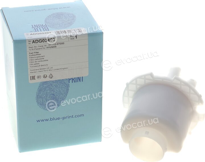 Blue Print ADG02403