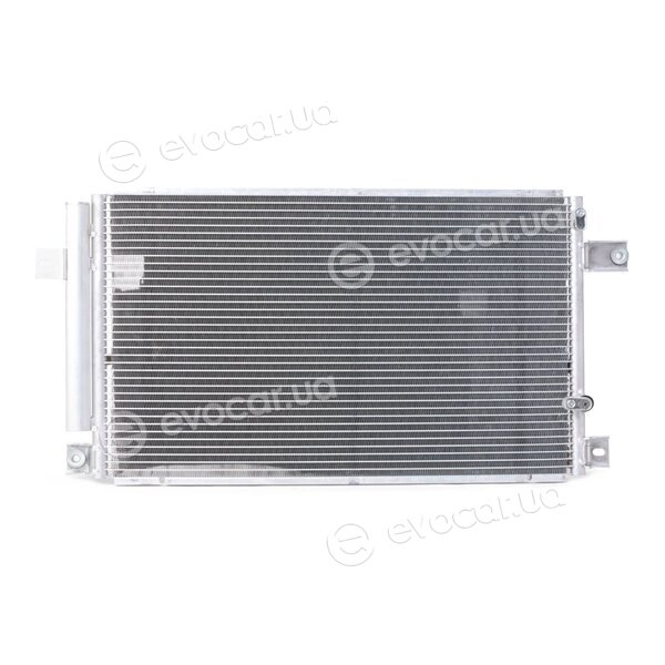 Ridex 448C0055