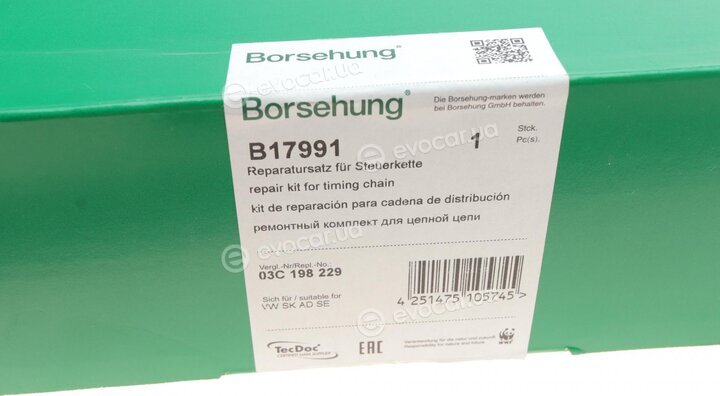 Borsehung B17991