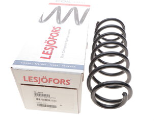 Lesjofors 4214204