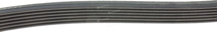 Dayco 6PK1145