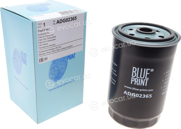 Blue Print ADG02365