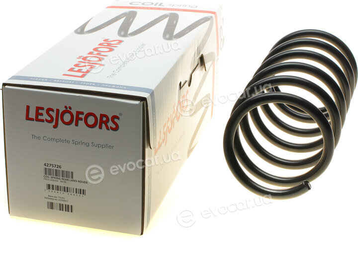 Lesjofors 4275726