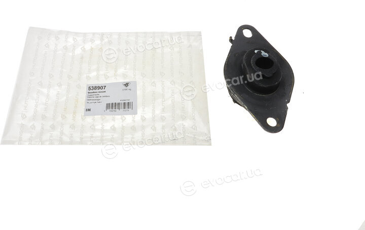 Hutchinson 538907