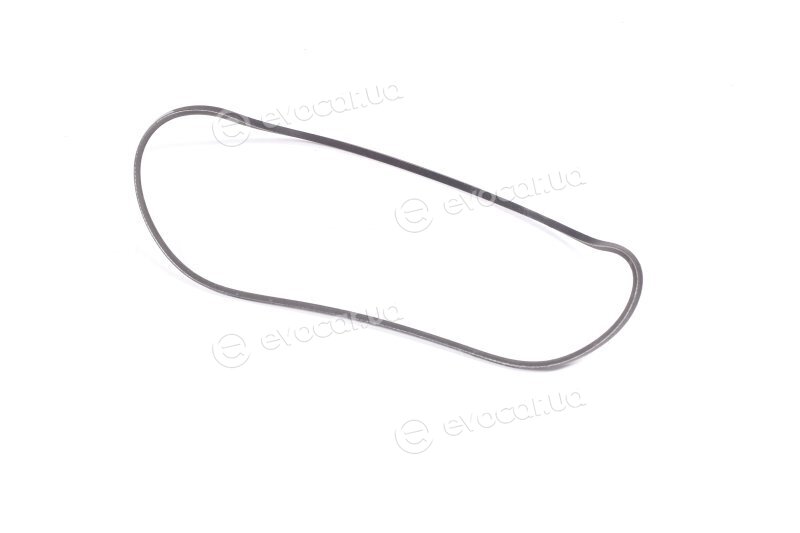 Gates 2PJ800