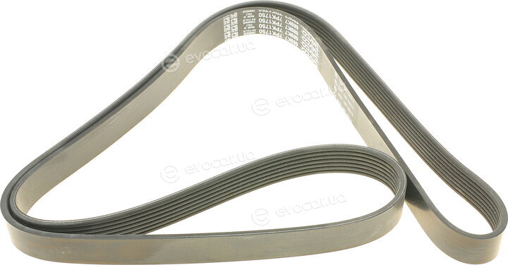 Dayco 7PK1750