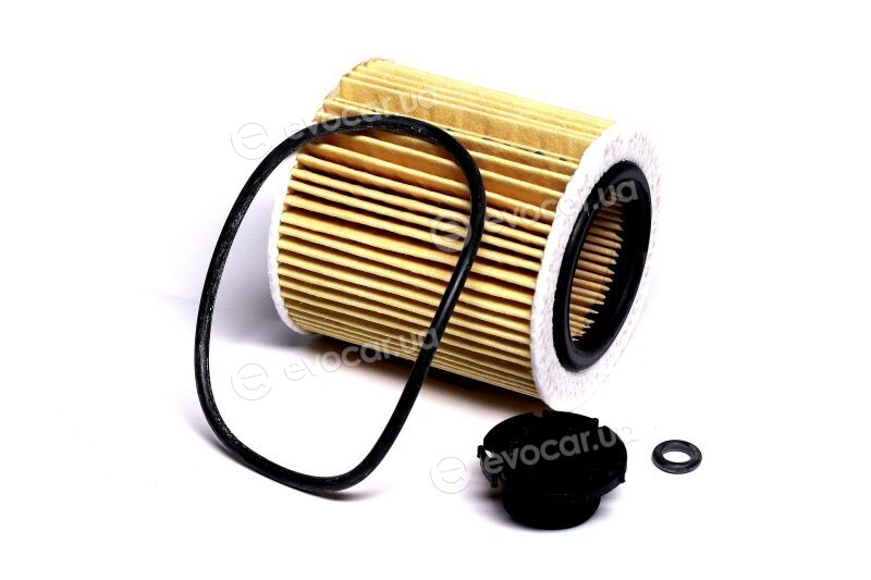 Mahle OX 387D1