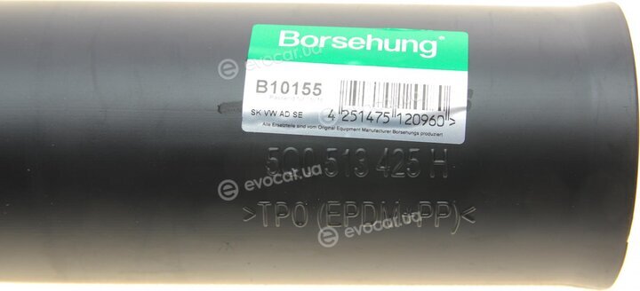 Borsehung B10155