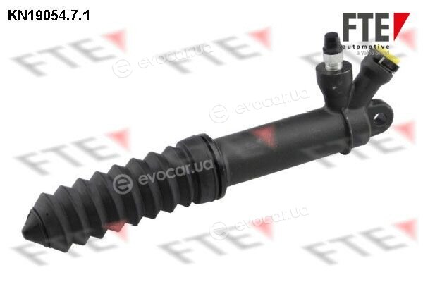 FTE 3102419