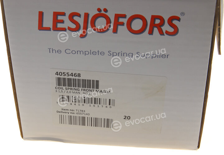 Lesjofors 4055468