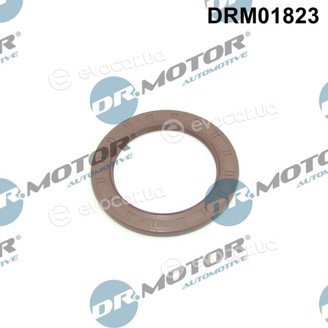 Dr. Motor DRM01823