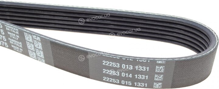 Dayco 6PK975