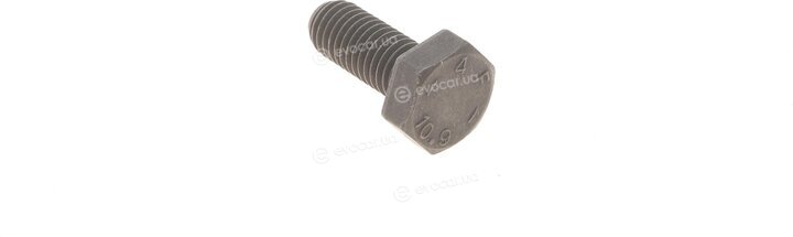Gates K025493XS