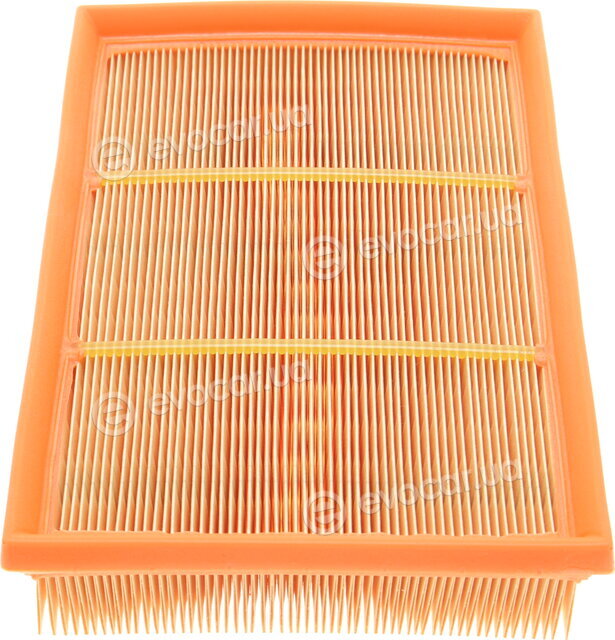 Mann C 2589