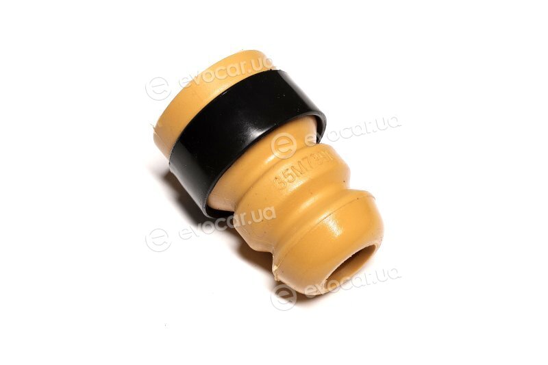 Sasic 2654037