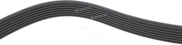 Dayco 7PK1770