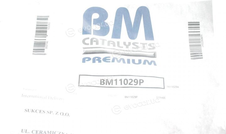 BM Catalysts BM11029P