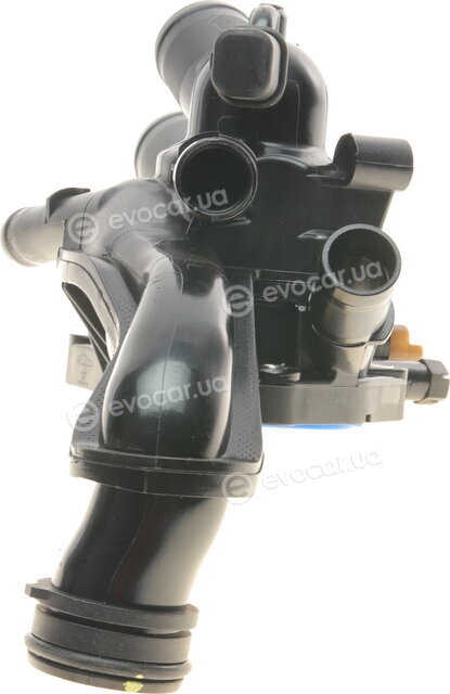 AIC 55717