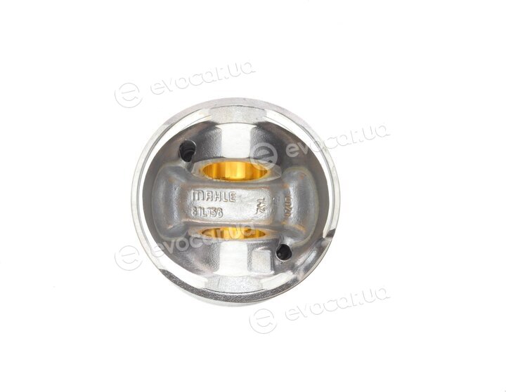 Mahle 028 PI 00116 000