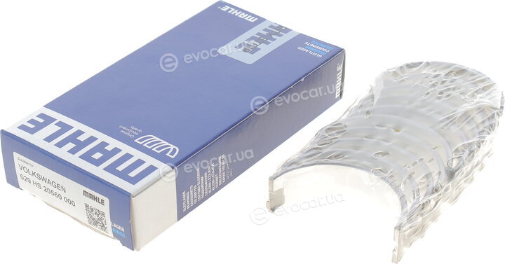 Mahle 029 HS 20560 000