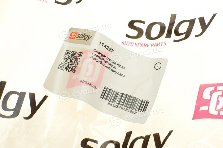 Solgy 114227