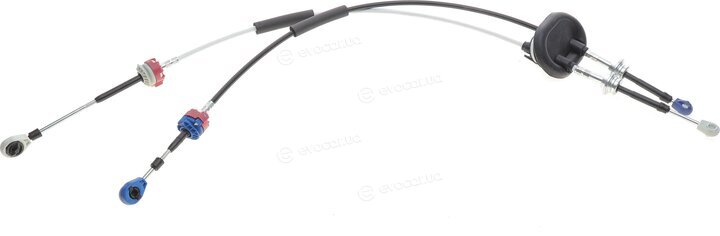 AIC 58955