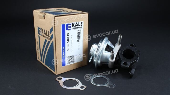 Kale 348915