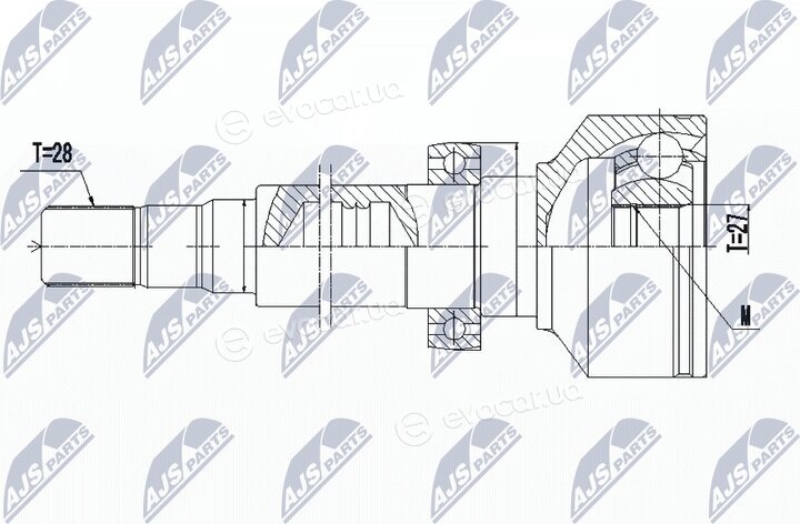 NTY NPW-VV-096